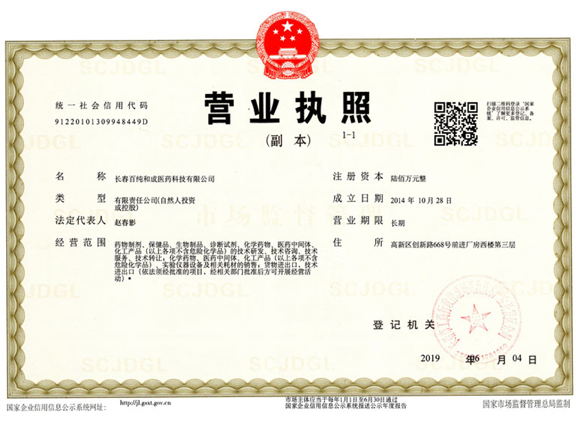 长春百纯和成科技有限公司营业执照